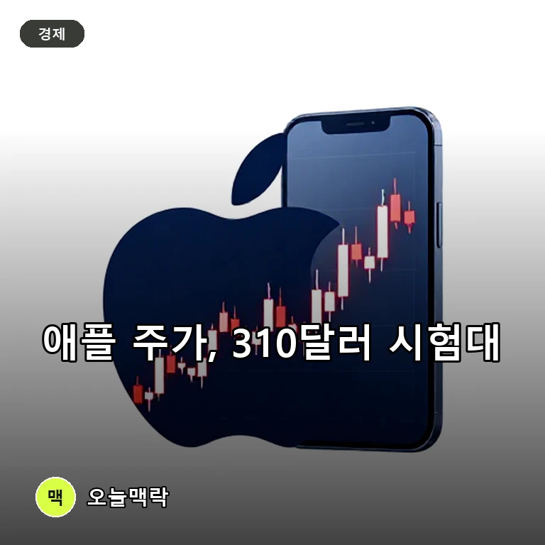 애플 주가 310달러 지지선 시험대…아이폰 수요와 비용 부담 주제를 표현한 편집 이미지