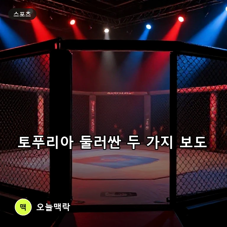 일리아 토푸리아 관련 보도 확산…우스만 측 승리 전망과 회복 사진 주제를 표현한 AI 생성 편집 이미지