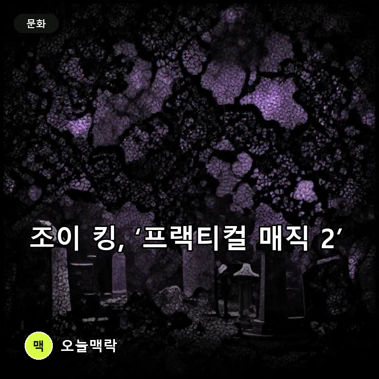 조이 킹·메이지 윌리엄스, ‘프랙티컬 매직 2’ 의상 공개 예고 주제를 표현한 편집 이미지