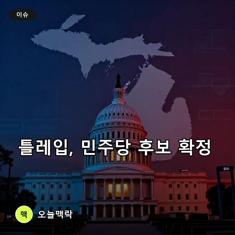 라시다 틀레입, 미시간 12선거구 민주당 후보 확정 주제를 표현한 편집 이미지