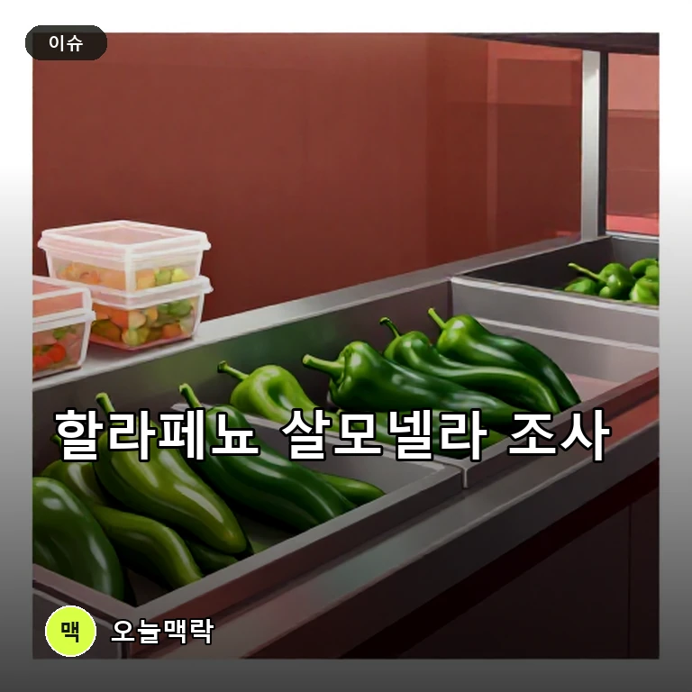 미국 캔자스서 할라페뇨 관련 살모넬라 조사…치폴레·QDOBA 연관 주제를 표현한 편집 이미지