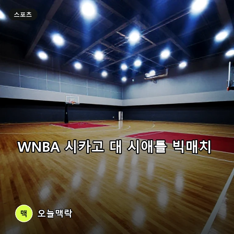 시카고 스카이 대 시애틀 스톰 맞대결, WNBA 순위 싸움 분수령 된다 주제를 표현한 편집 이미지