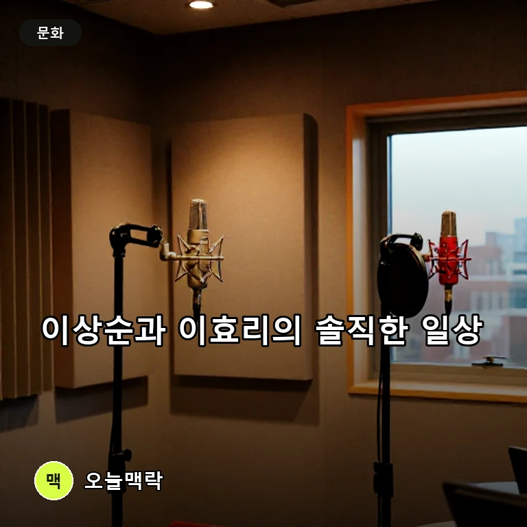 이상순, '닮은꼴' 이정은과 라디오 만남…이효리의 솔직한 조언도 화제 주제를 표현한 편집 이미지