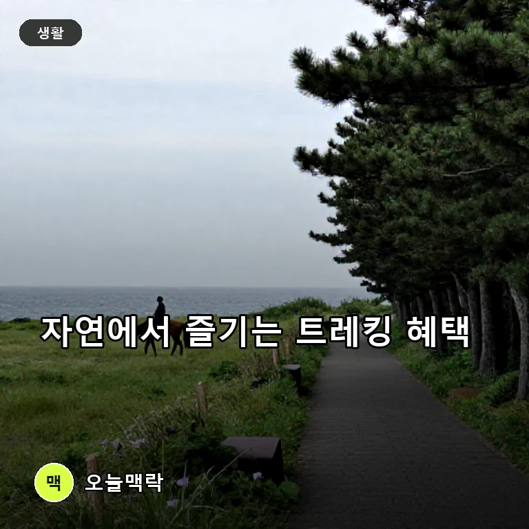 제주 승마트레킹 60% 지원하고 경북은 청년 트레킹 마을 조성 주제를 표현한 편집 이미지