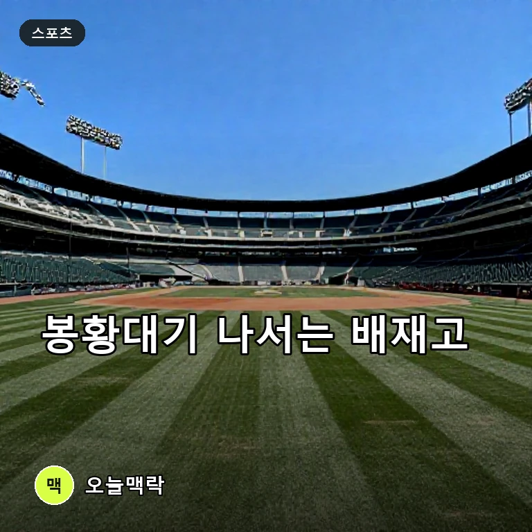 배재고 야구부, 봉황대기 고교야구대회 출격…전통 강호의 도전 시작 주제를 표현한 편집 이미지