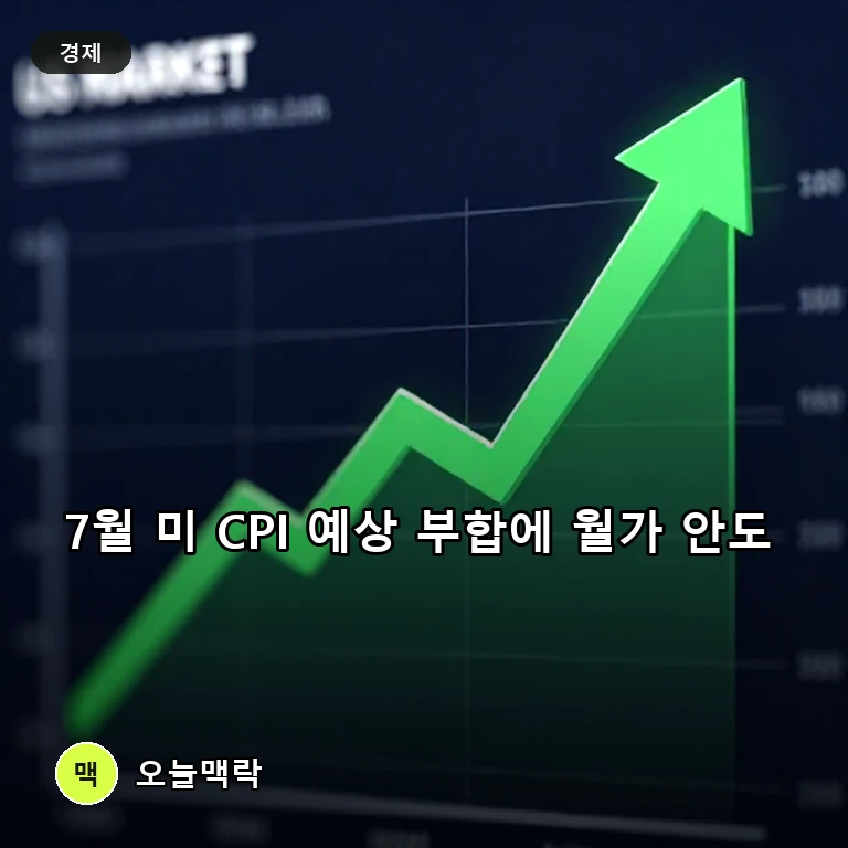 미국 7월 소비자물가지수 예상치 부합에 월가 안도…금리 인하 기대감 고조 주제를 표현한 편집 이미지