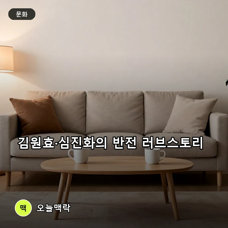 김원효·심진화 부부, 첫 만남 비화부터 초고속 결혼 비하인드 공개 주제를 표현한 편집 이미지