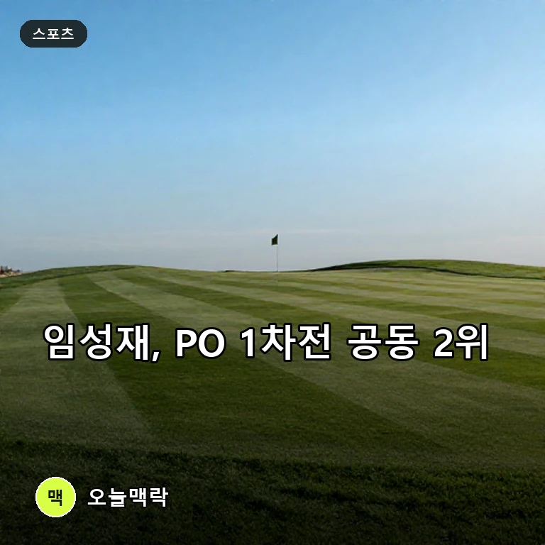 임성재, PGA 투어 플레이오프 1차전 공동 2위…선두 셰플러와 2타 차 주제를 표현한 편집 이미지